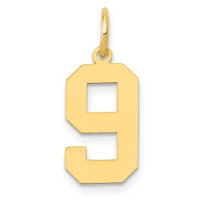 14K Yellow Gold Polished Finish Medium Size Number 9 Charm Pendant