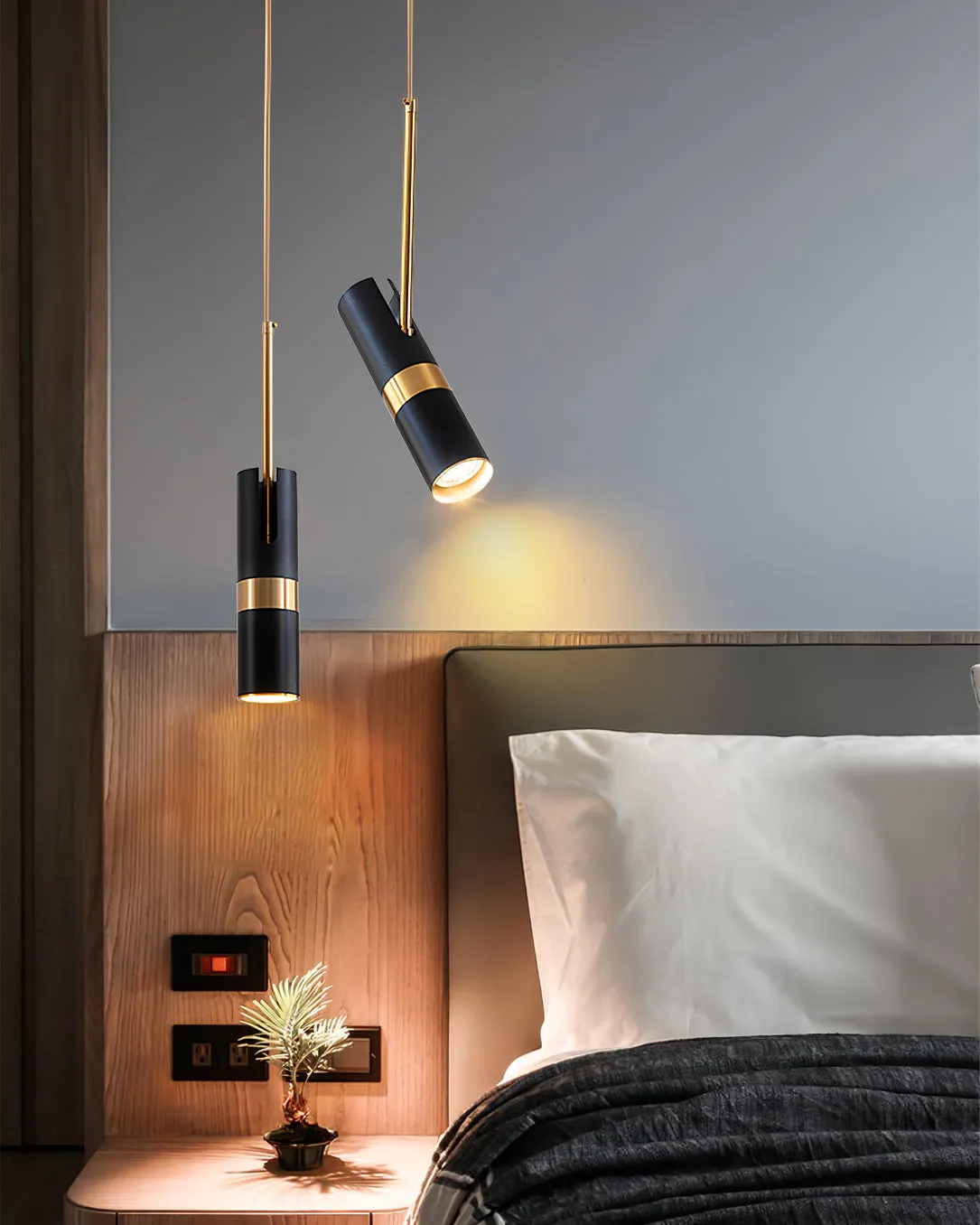 Black Track Pendant Lamp