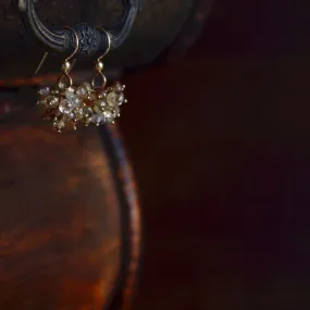 Claudia - Zircon, 14k Gold Filled Earrings