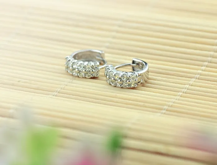 Double Row Zircon Silver Hoop Earrings for Women