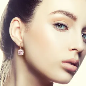 La Vie en Rosé 14K Pink Gold Zircon Earrings