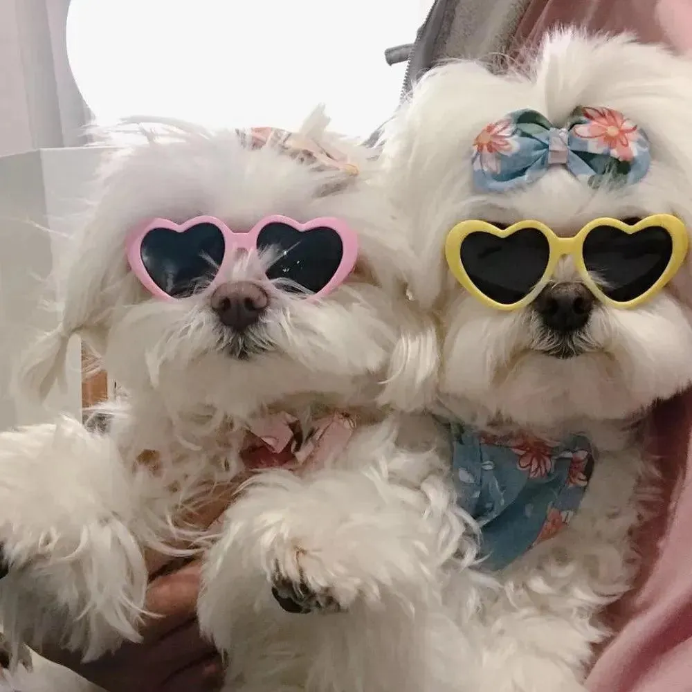 Pet Sunglasses Cat Dog Accessories