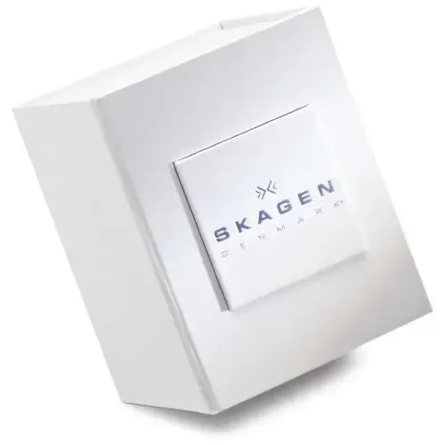 Skagen Men's Grenen Titanium Case Stainless Steel Mesh Watch 233XLTTN